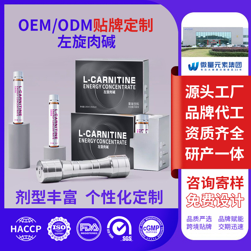 厂家定制左旋肉碱果味植物饮料 健身运动维生素功能性饮品OEM代工